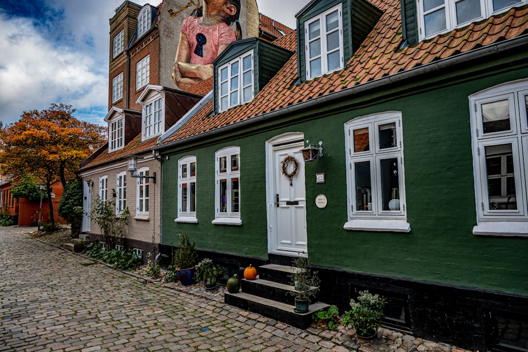 hvepsebekæmpelse Aarhus